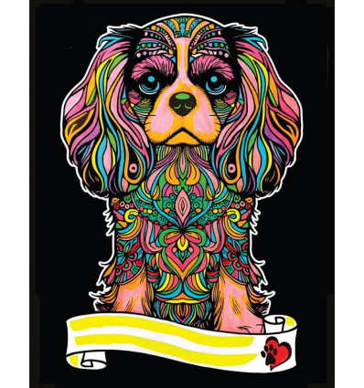 Spaniel Kolorowanka welwetowa Colorvelvet