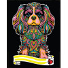 Spaniel Kolorowanka welwetowa Colorvelvet