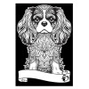 Spaniel Kolorowanka welwetowa Colorvelvet