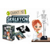 Szkielet Człowieka do złożenia 45 cm Buki 8+
