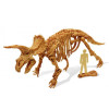 Wykopaliska Dinozaurów Triceratops Buki France 8+