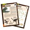 Dinozaury Pudełko 25 niespodzianek Buki 6+