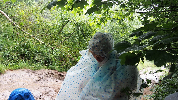 Szlak Brzegi Górne - Chatka Puchatka